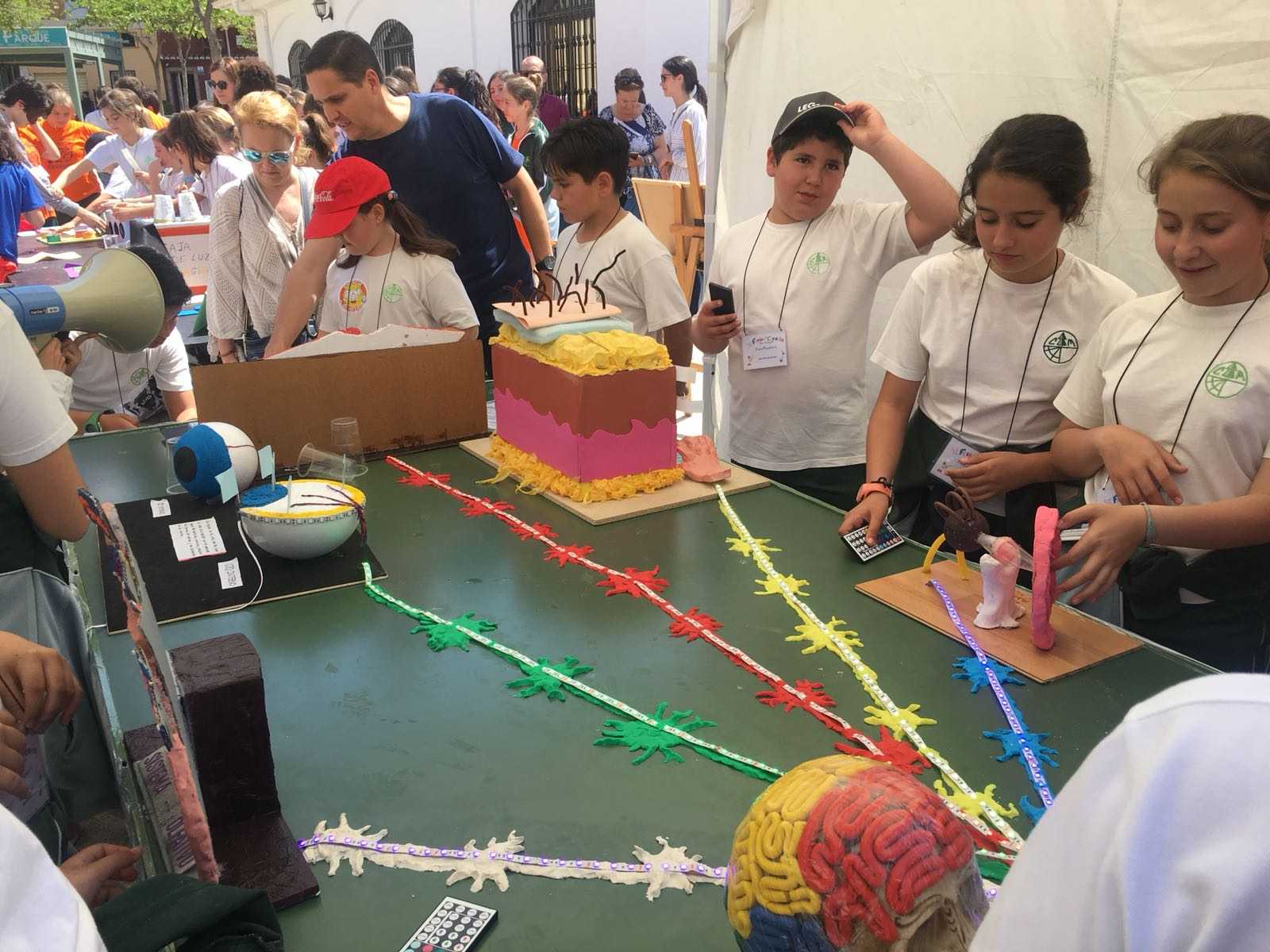 M S De Estudiantes De Centros Educativos Muestran Los Trabajos Cient Ficos En La X Feria